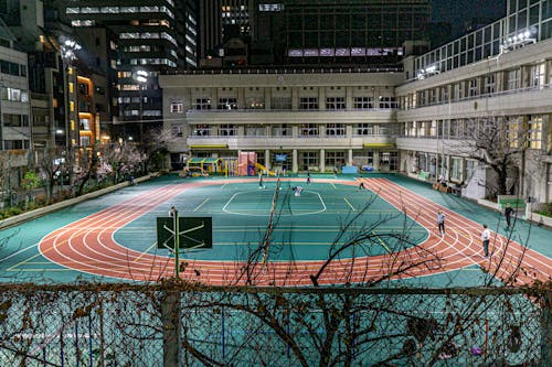 巴西女排五局鏖战3-2险胜日本 挺进世联赛决赛