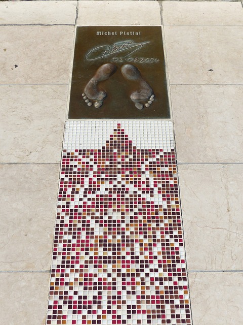 贡献稳定提 贡献稳定提