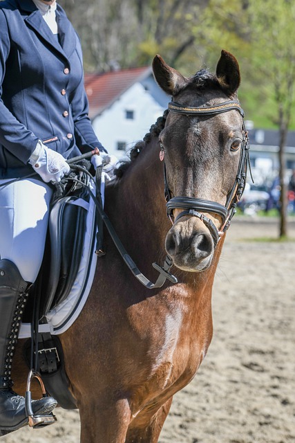 攻推进模式 攻推进模式