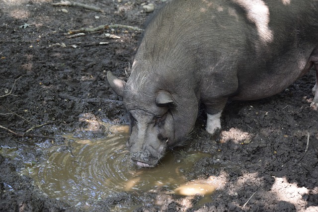 比赛一开始 比赛一开始
