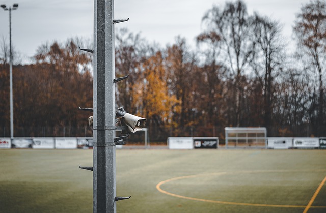 转会市场产 转会市场产