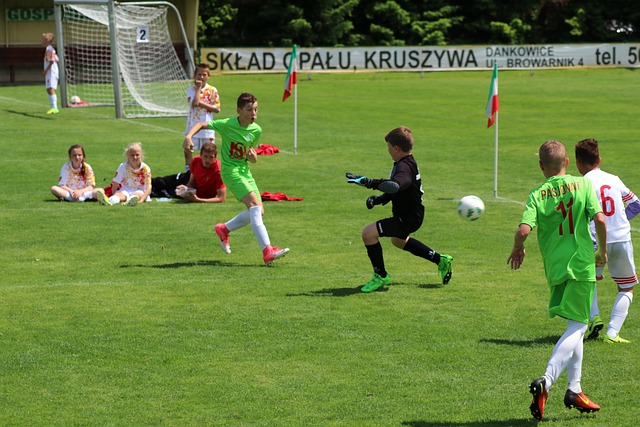 提炼出有可 提炼出有可