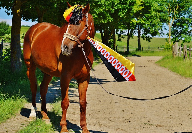 員的典範 員的典範