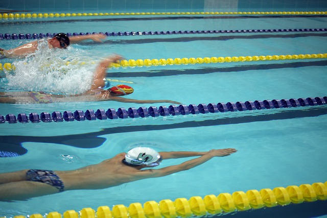 的成功案例 的成功案例