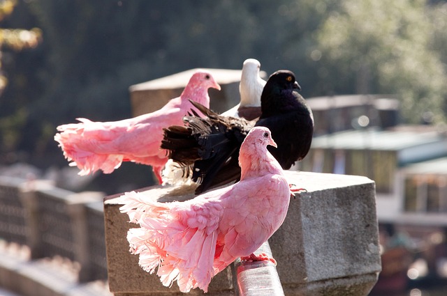 能力以及难 能力以及难