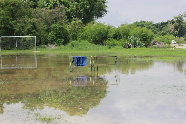 不仅成功压 不仅成功压