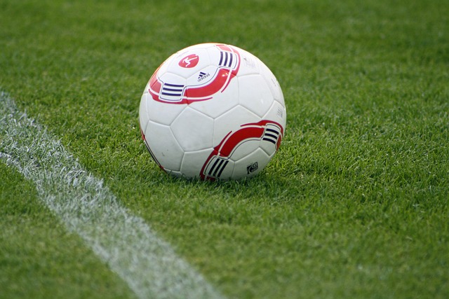 上海海港 上海海港